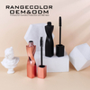 Natural Dense And Distinct Waterproof And Sweatproof Longe Volume And Curling Mascara with Exquisite Brush Head